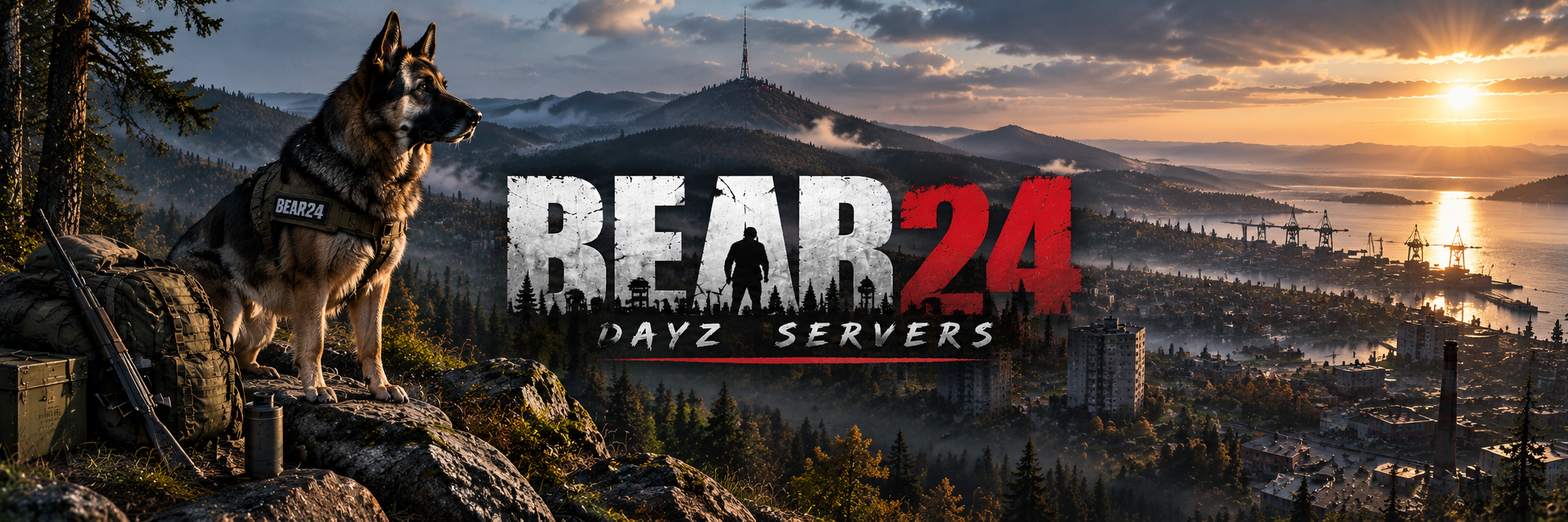 Bear24 DayZ Servers survival banner